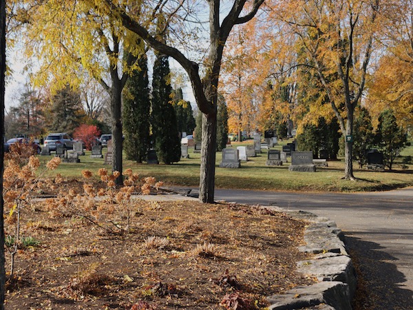 Three intersecting roads in the middle of the cemetery, underneath yellow and orange leaves.