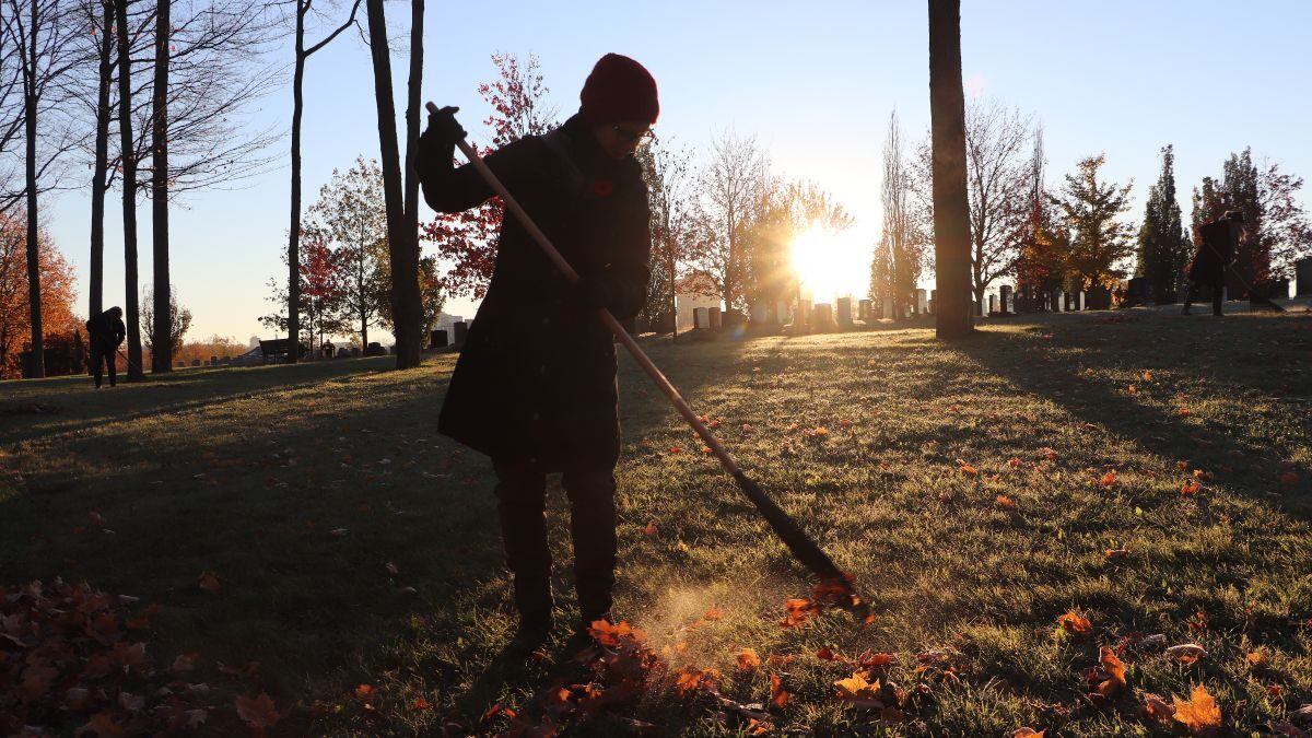 Beechwood’s National Day of Tribute prepares National Military Cemetery for Remembrance Day