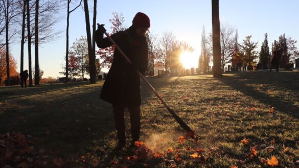 Silhouette of a woman raking leaves with the sun beaming behind her.