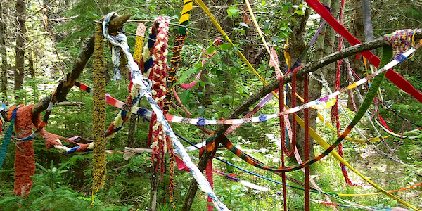 Art installation in a forest with various pieces of fabric strung between the trees.