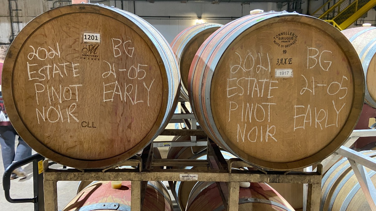 Early harvest Pinot Noir is aged in French oak barrels for up to two years. [Jonathan Got © 2021]