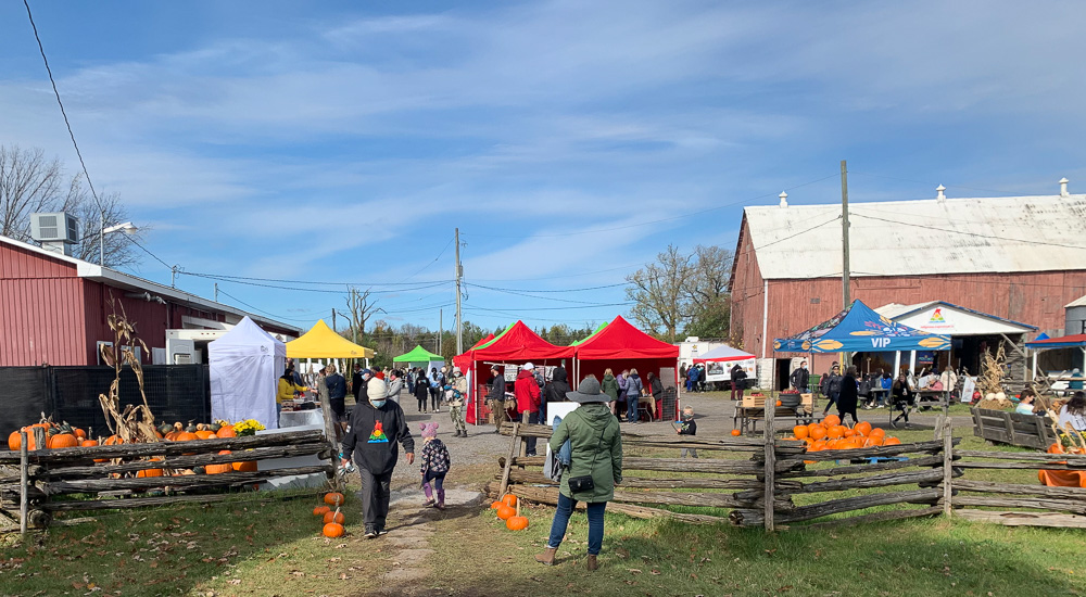 Colourful tents are scattered across the Mādahòkì Farm property. Dozens of people are milling about looking at what the vendors have brought. 