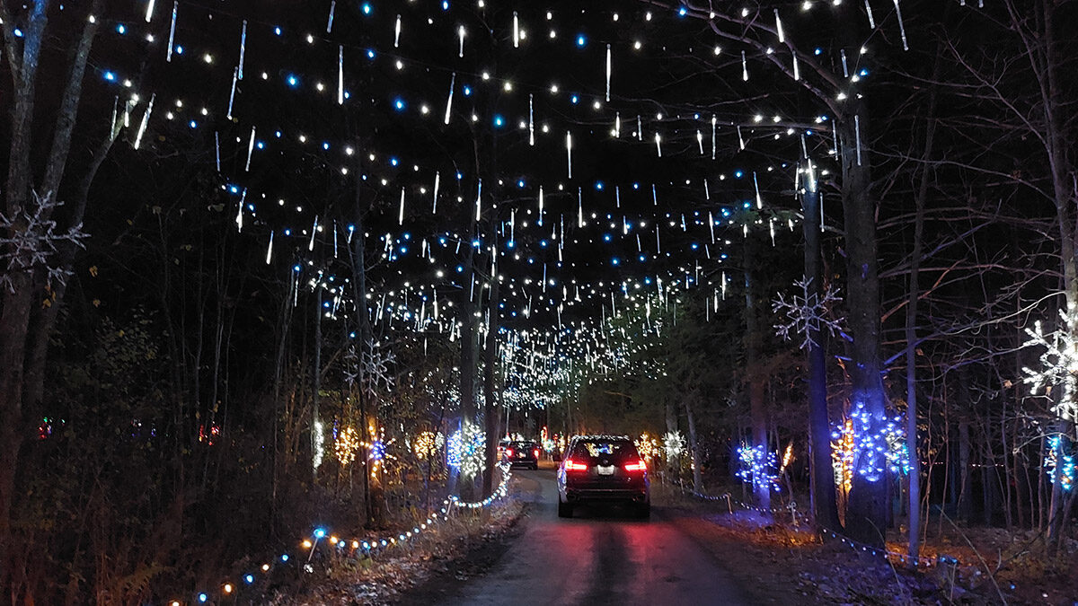 Magic of Lights brightens the community mood with vibrant holiday colours