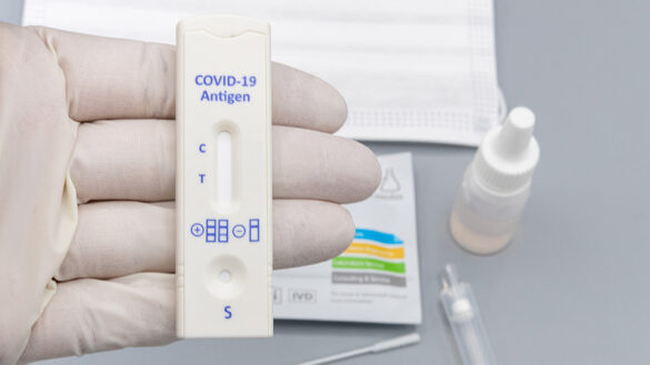 A hand holding a rapid COVID-19 antigen test.