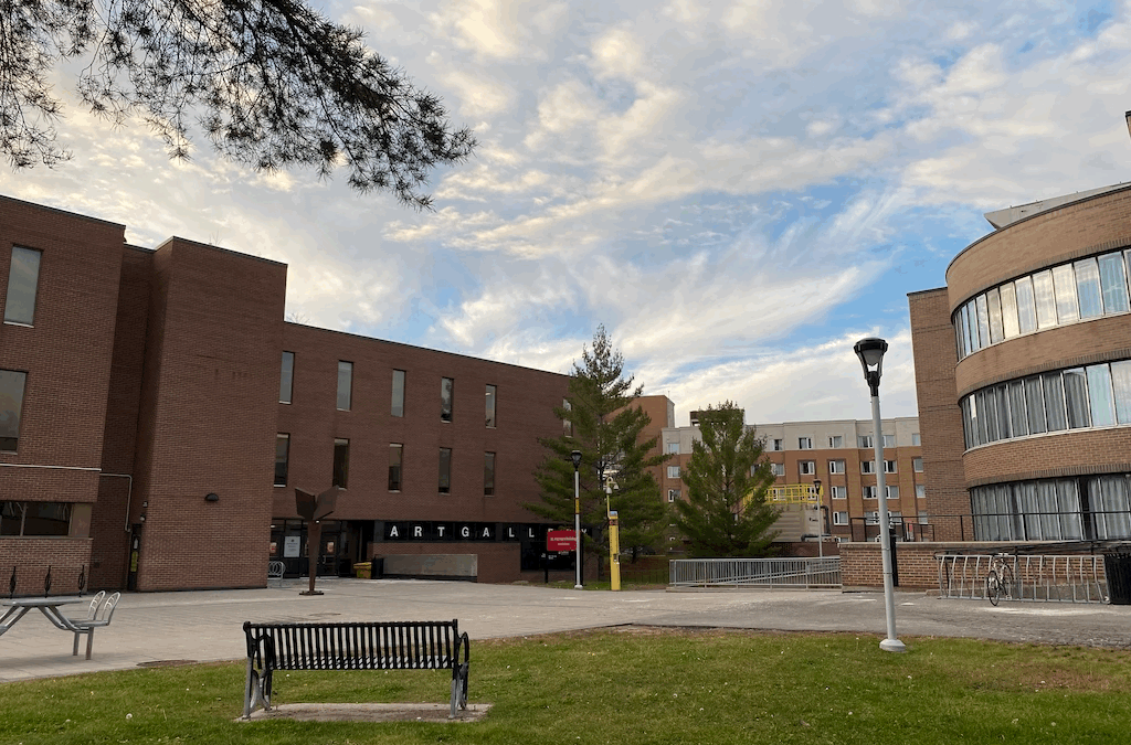 Speaking up: Focus groups aim to improve equity, diversity and inclusion in residence life at Carleton University