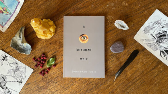 A gray book with a piercing eye on the cover sits on a wood surface surrounded by random objects.