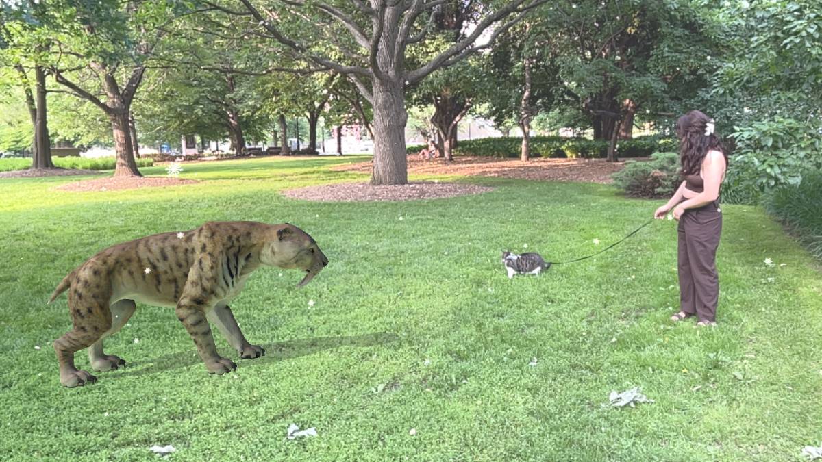 A virtual sabre-tooth tiger stares down a real cat on a leash in a park.
