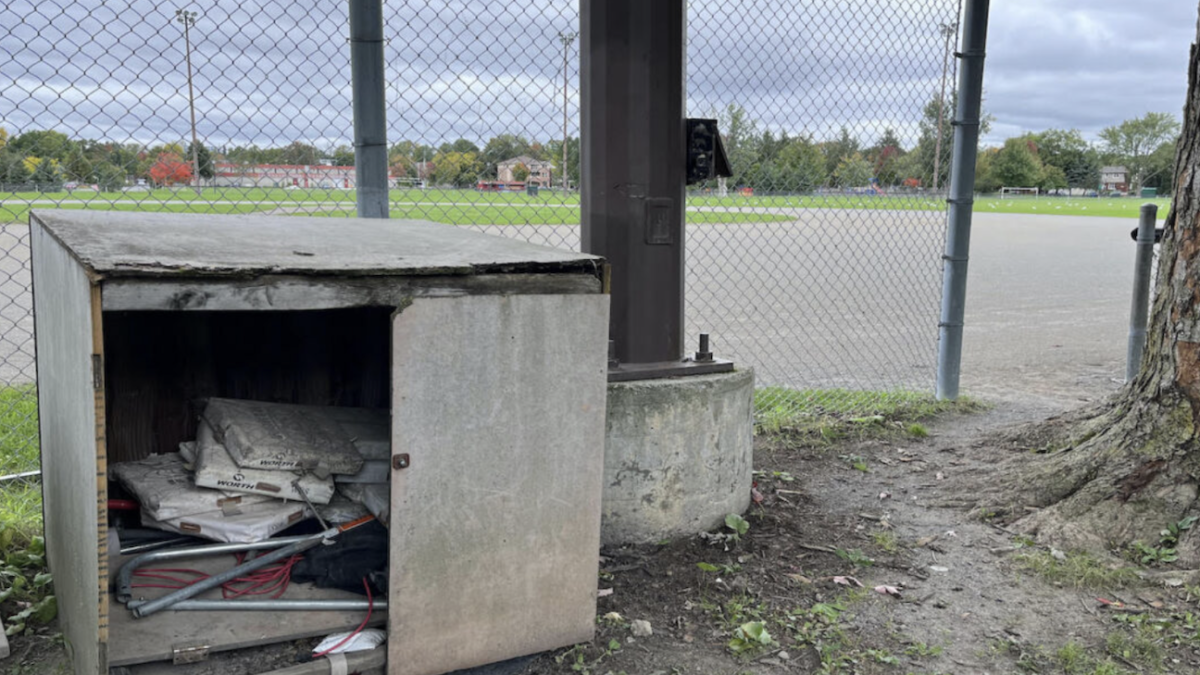 Fields of Dreams: Ottawa’s baseball community makes a pitch to municipal candidates