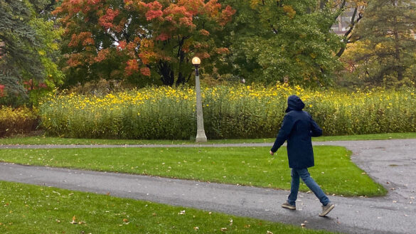 A woman walks in the Ottawa arboretum