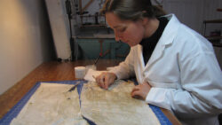 A woman works to remove adhesive on a piece she is conserving.