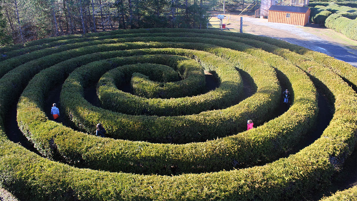 four children run through a spiral maze