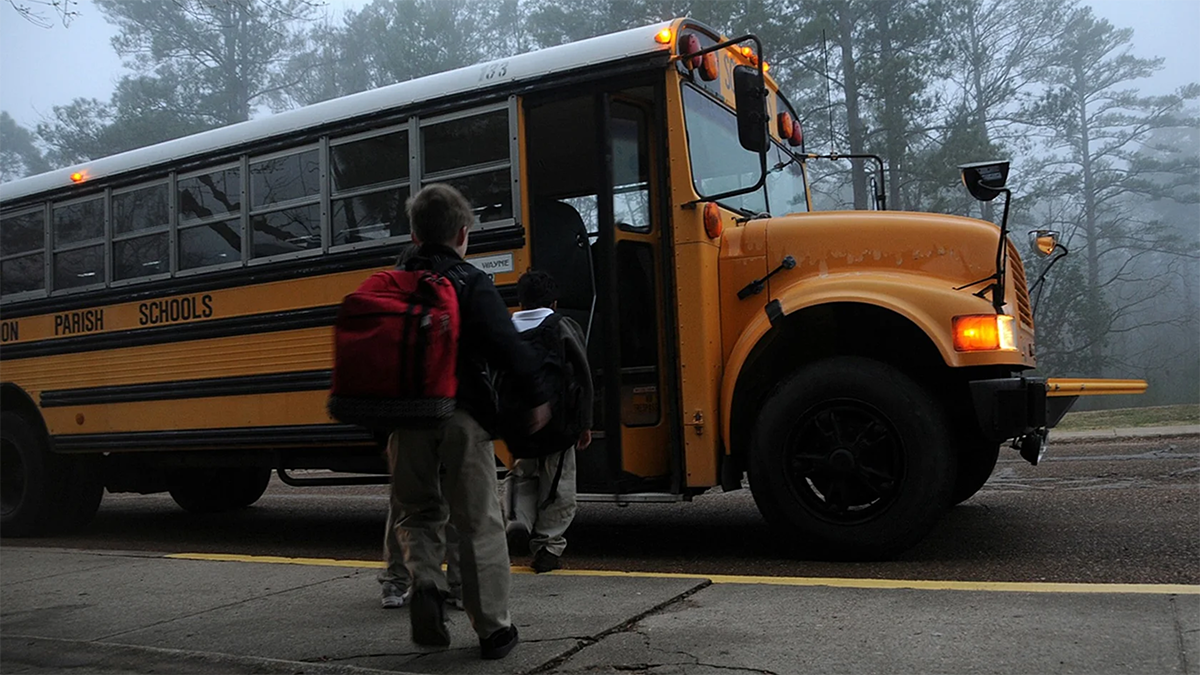 ‘Yellow buses must go green’: Groups demand electric fleets for school transit