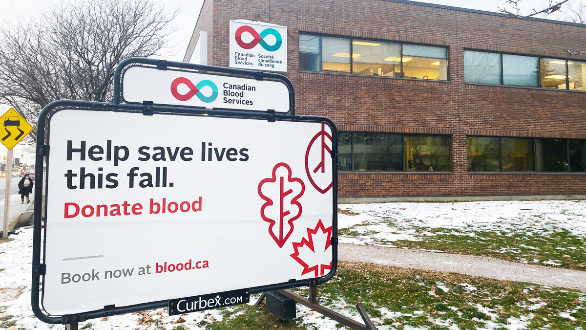 ‘You’re improving the quality of life of somebody’: Diversifying blood and stem cell donations saves lives, experts say