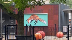 Photo of a mural. The mural is a fox