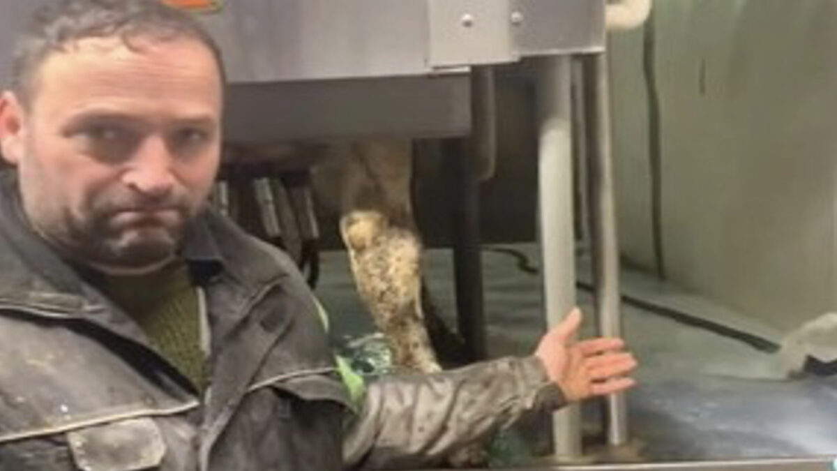 Dairy farmer’s viral video sparks debate over milk quotas, supply management