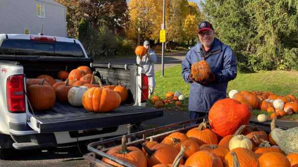 A man in a black cap and blue jacket holding an orange pumpkin, standing behind other orange pumpkins loaded onto a truck and adjoined trailer.