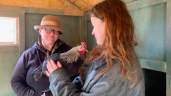 Madeleine Van Clieaf holds and looks down at a chicken.
