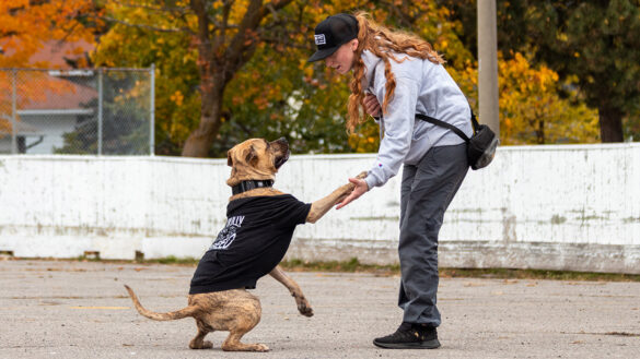 Sarah Blanchette crouches to hold the paw of a dog, which is standing on it's hind legs.