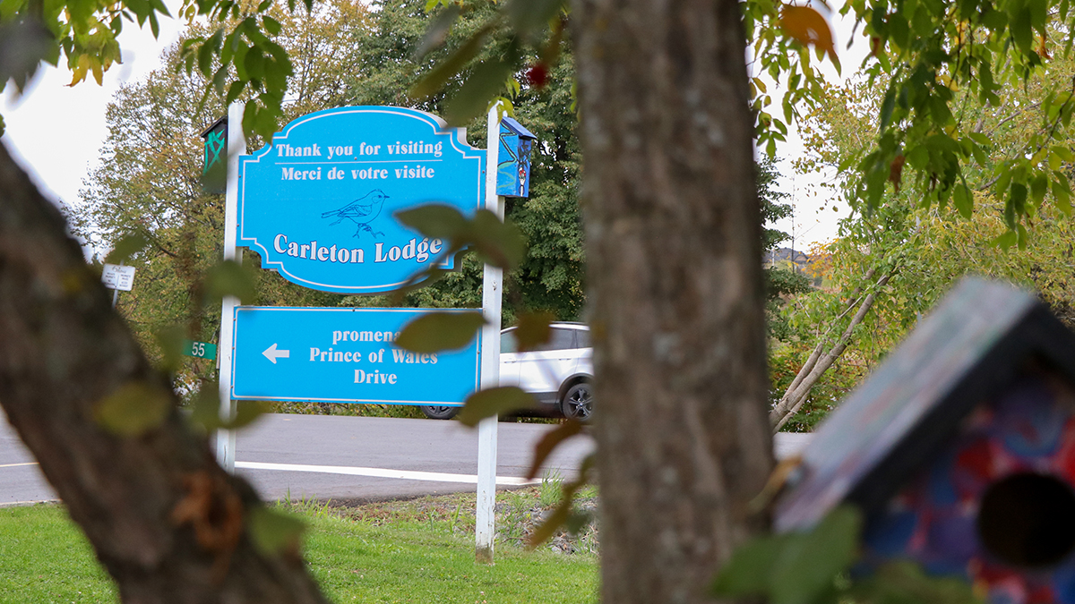 This photo shows a blue sign for Carleton Lodge, partially hidden behind the branches and leaves of nearby trees. The sign has white text that says "Thank you for visiting" in both English and French, followed by "Carleton Lodge" in larger text with a small bird illustration above the name. Below, a second sign points left toward "Prince of Wales Drive." The background reveals green trees and a parked car on a paved road, suggesting a natural and peaceful environment. In the foreground, on the right side, there's a small decorative birdhouse painted in bright colors, which adds a touch of charm to the scene.