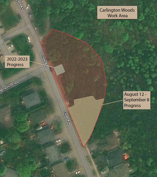 Progress map of Nora Lee's work in Carlington Park. A small section of the forest is highlighted in red to show the area the volunteers hope to remove. A portion is highlighted beige to show the area they have already removed.