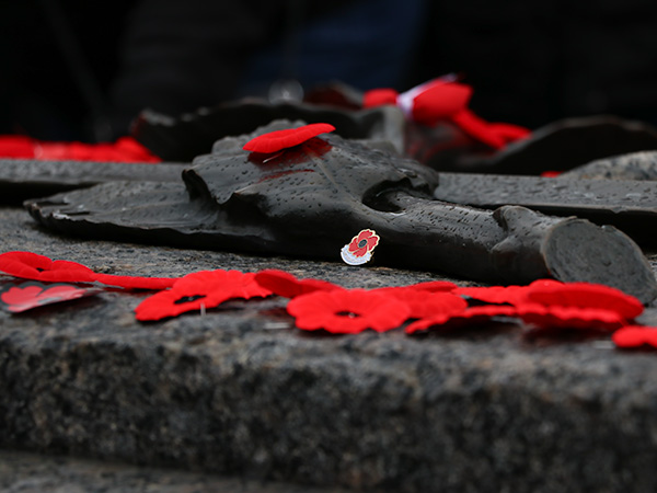 Small poppy pin that reads "Lest we forget" sits in the middle of other poppies, resting on the Tomb of the Unknown Soldier. 