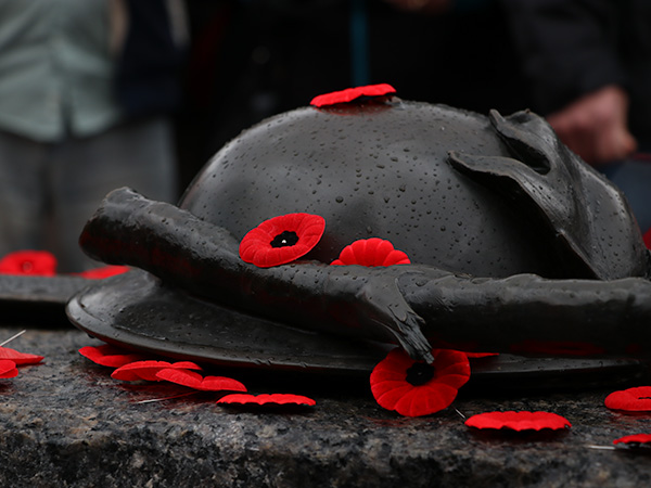 Poppies resting on the Tomb of the Unknown Soldier hat.