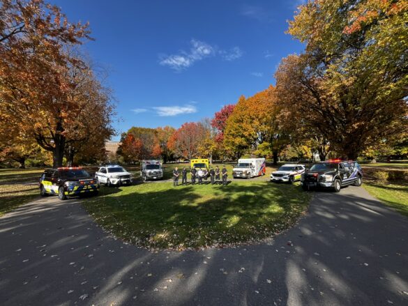 Paramedics lined up with their ambulances in a triangular-shaped, green and open space in a park.