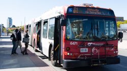 Bus 61 Stittsville at Tunney's Pasture Station
